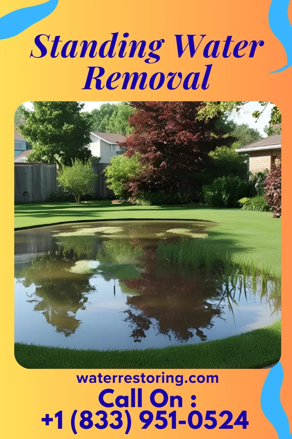 Standing Water Removal in Bolton, NC